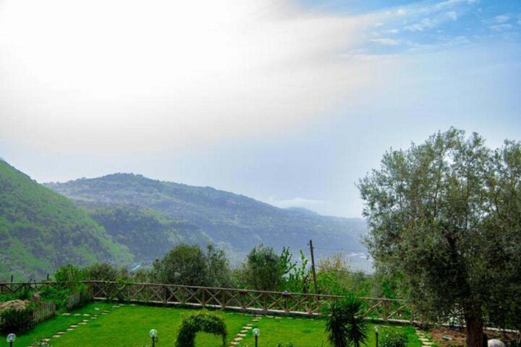 Villa Aurora Oasi Verde Sorrento Exterior foto