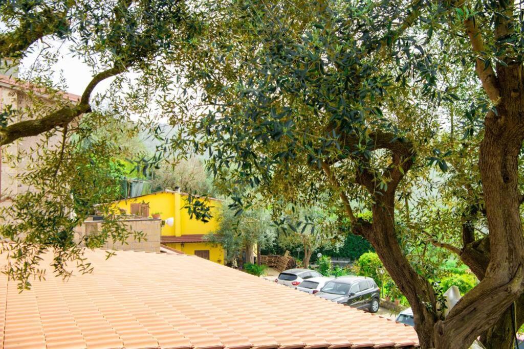 Villa Aurora Oasi Verde Sorrento Exterior foto